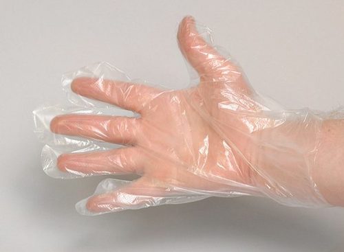 Plastic Gloves HDPE CLEAR LARGE Carton 10,000 - Coastal