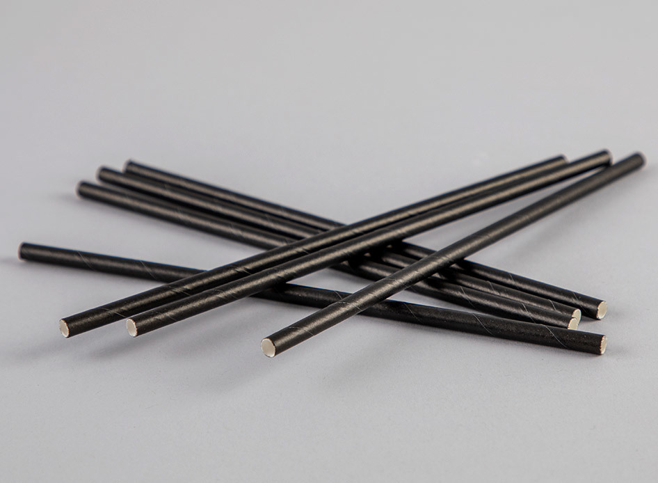 Regular Black Paper Straw - Coastal
