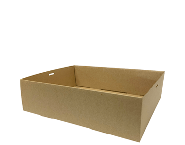 Carton Paperboard Medium Platter Tray 25x28x8cm - Castaway