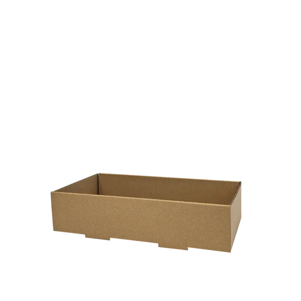 Catering Tray Base Large 558 x 252 x 80 - Green Choice
