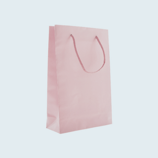 Coloured Paper Bags with Twisted Handles NZ | Insinc