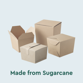 Sugarcane Fold and Click Containers