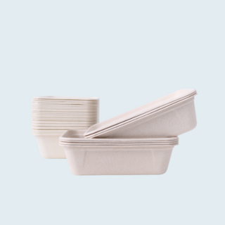 Sugarcane Food Packaging NZ | Compostable Takeaway Containers | Insinc