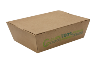 Take Away Box KRAFT PLA - Large Carton  200    - Green Choice