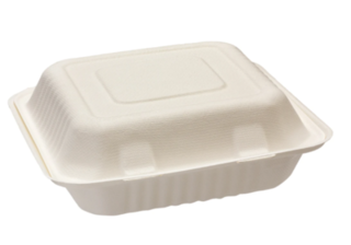 Large Square Bio Food Pack - 3 compartment - Green Choice